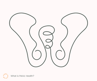 What is Pelvic Health?