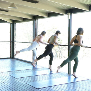 Barre BLAST or Barre BURN? What's the difference... - Aleenta BARRE